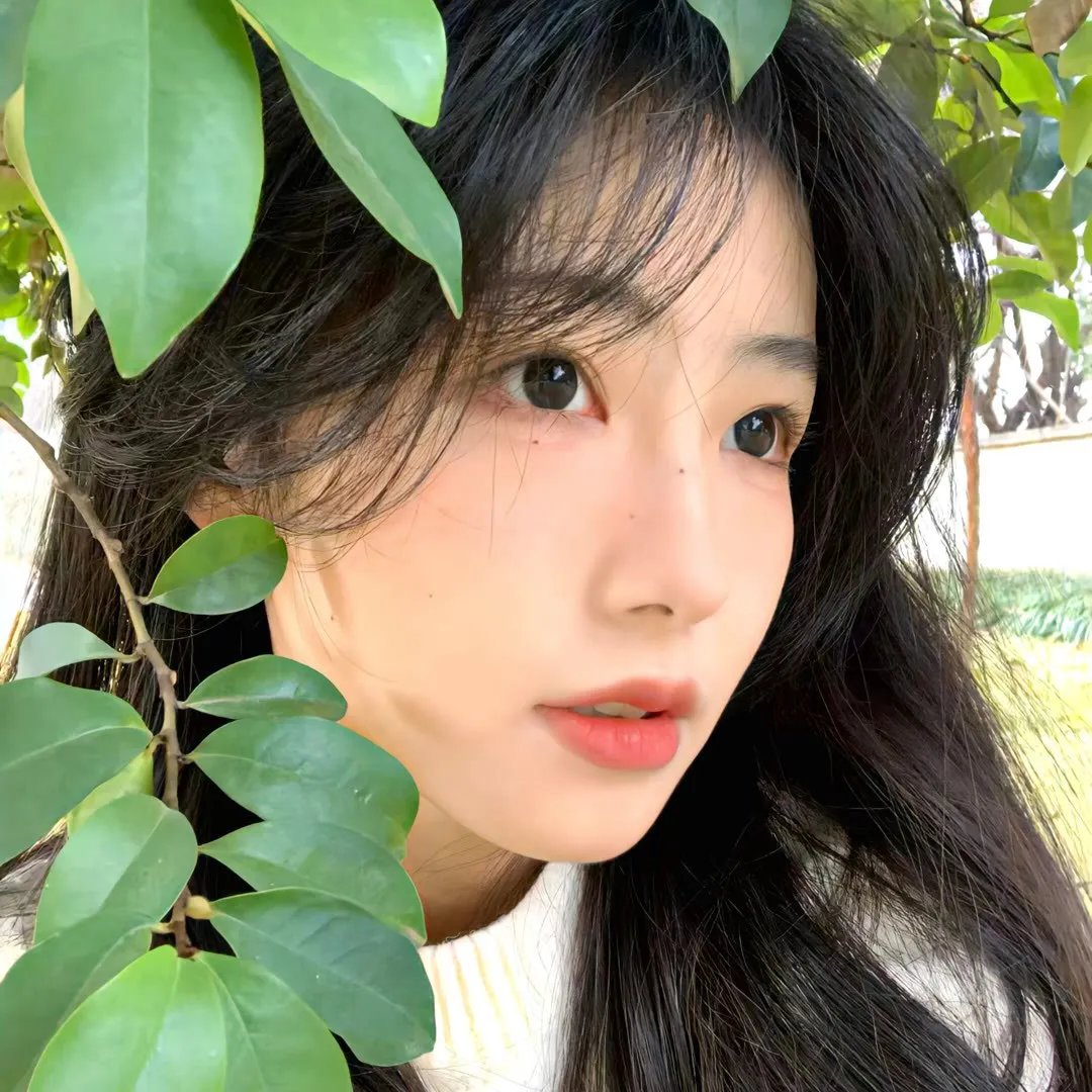 青春王室第三季