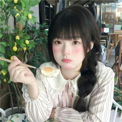 翼龙